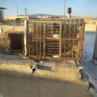 جفتگاه فروشی