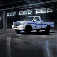 پادراپلاس دوگانه