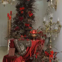 فیلم بردار عکاس خانم