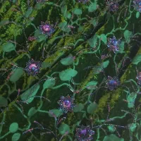 فروش لباس مخمل ابریشم