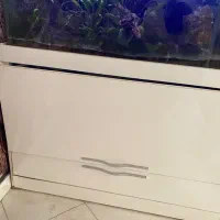آکواریوم لاکچری سفارشی ساخته شده