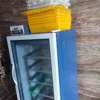 دستگاه جوجه کشی ۲۱۰عددی تمام اتوماتیک درحدنو