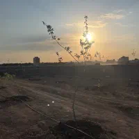 باغ-کنار-شهر-نه-دور-از-شهر