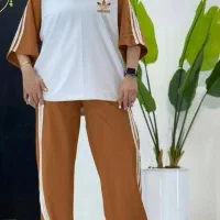 صدف|کیف، کفش، کمربند|خمین, |دیوار