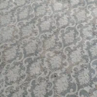 گلیم فرش|گلیم، جاجیم، گبه|مشهد, شهید معقول|دیوار