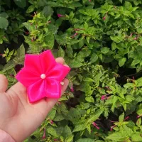 گل های ربانی از شاخه ۵۰تومن|گل مصنوعی|رشت, فخب|دیوار