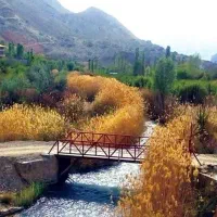 فروش باغ گردو سند تک برگ اقساط و معاوضه|فروش زمین و ملک کلنگی|فیروزکوه, |دیوار