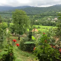 ویلاجنگلی ماسوله|اجارهٔ کوتاهمدت ویلا و باغ|ماسوله, |دیوار