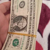 دلار کلکسیونی