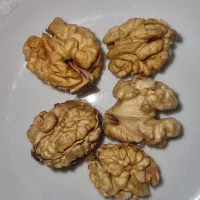 فروش گردو