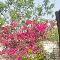 فروشی-خانه-زیبا