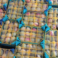 بسته بندی میوه