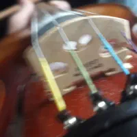 ویلن حرفه ای درجه ا خریداری توسط استادبلالی|ویولن|شهرکرد, |دیوار