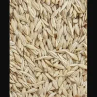 جوفروشی سهند