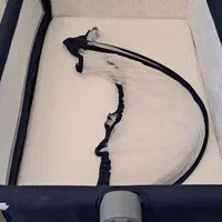 تخت کنار مادر فیکشن|تخت و صندلی بچه|شاهرود, |دیوار