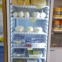 فریزر ایستاده