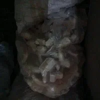 فروش چند گونی نون خشک براپرنده و دام
