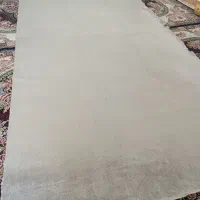 موکت فرش،شیبان