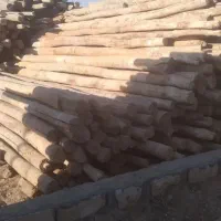 خرید فروش چوب|خدمات باغبانی و درختکاری|خرم‌آباد, |دیوار