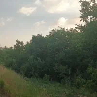 باغ کشاورزی