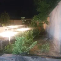 نیازمند سگ رایگان