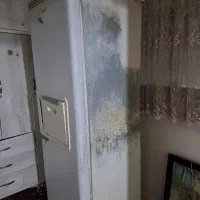 یخچال هیمالیا|یخچال و فریزر|تهران, شهرک شریفی|دیوار