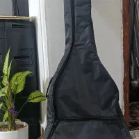 گیتار در حد نوی نو|گیتار، بیس، امپلیفایر|گنبد کاووس, |دیوار