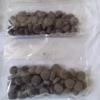 قرص کود گل و گیاه