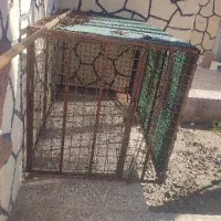 قفس یا توری مرغی