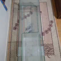 تنگ ماهی سالم