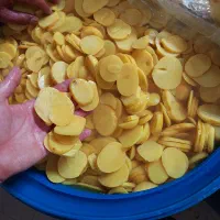فروش عمده ترشی موسیر و سیر مروارید