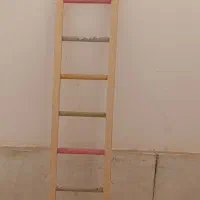 قفس،لونه،نردبان،سینی،ملزومات|لوازم جانبی حیوانات|برخوار, |دیوار