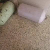 گاز سوز خودرو CNG