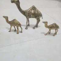 لوازم برنجی کاملا نو و سالم|مجسمه، تندیس، ماکت|نسیم‌شهر, |دیوار