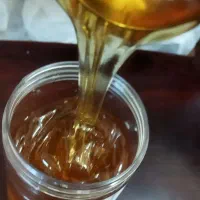 عسل گون آویشن مرکبات سیاهدانه خشخاش کوهستان