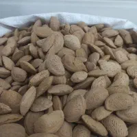 گردو و بادام|خوردنی و آشامیدنی|خور (اصفهان), |دیوار