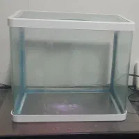 آکواریوم شیشه خم