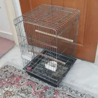 قفس|لوازم جانبی حیوانات|تهران, آبشار|دیوار