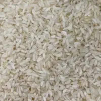 برنج چمپا اصل