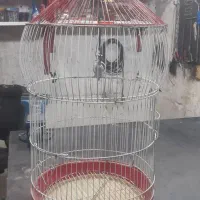 قفس