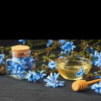 سونو کامل بدن از روی زبان و تشخیص بیماری