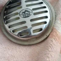 خوب بوق بنزی