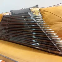 سنتور زنده یاد استاد داریوش سالاری