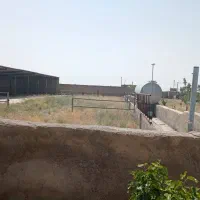 گاوداری 25 راسی 3500متری سند ششدانگ