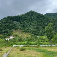 زمین-365-م-لپاسرک-منطقه-دنج-و-خوش-نشین