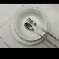 آرکوپال و چینی درجه یک