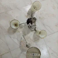 لوستر