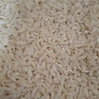 برنج‌شمال
