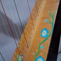 ساز چنگ فروشی|سازهای سنتی|کرج, گلشهر|دیوار