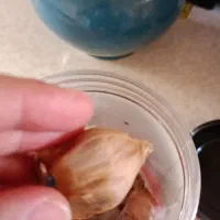 سیر سیاه